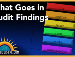 Yellow Book Audit Sebagai Panduan Terbaik Akuntansi